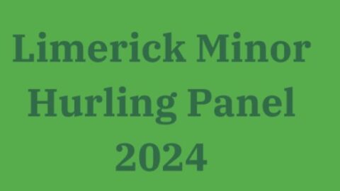 Limerick Minor Hurling Panel 2024