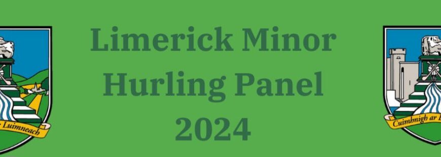 Limerick Minor Hurling Panel 2024