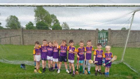 Ballybricken Bohermore GAA – Week In Review – W.E 19.05.2024